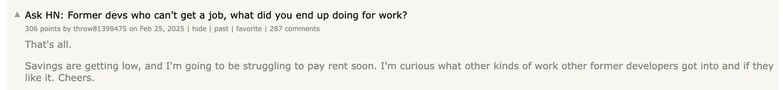 Hacker News: Ask HN: Former devs who can't get a job, what did you end up doing for work?